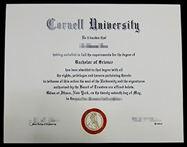 Order Cornell University Fake diploma online