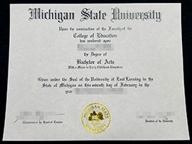 How to get a Michigan State University diploma online