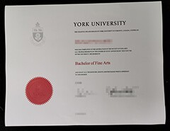Fake certificates and transcripts from York University