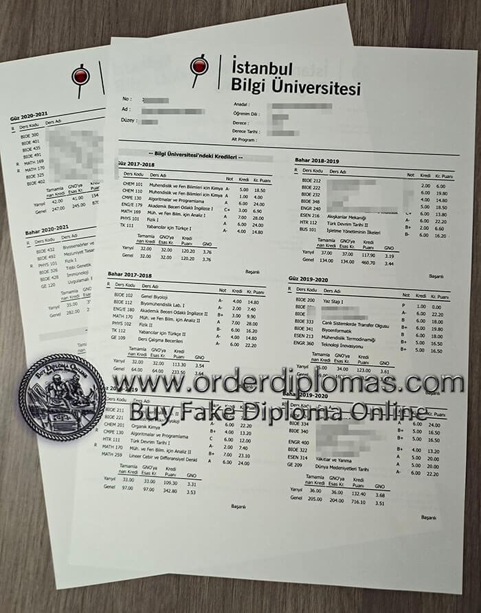 buy Bilgi University transcript