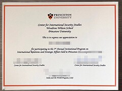 how much can i buy a princeton university degree online?