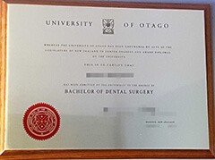 Is it possoble to order a fake University of Otago diploma?