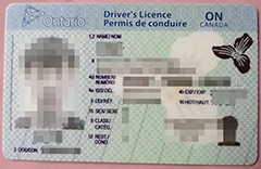 How real are the fake Ontario Driver’s License Canada online