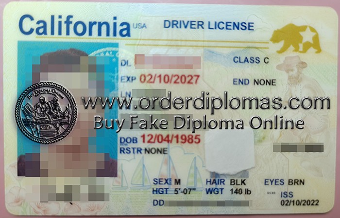 buy fake California USA Driver license