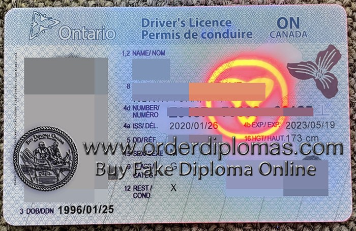 how to buy a fake Ontario driver's license