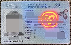 Professional production of high-quality Ontario driver’s licenses