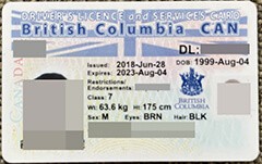 How to buy British Columbia driver’s license?