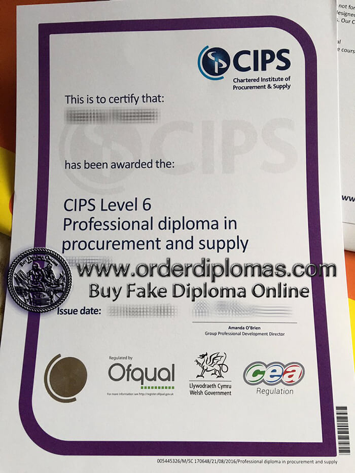 buy fake CIPS level 6 certificate.
