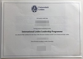 How to buy fake Leiden University diploma online?