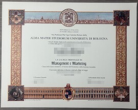 Order alma mater studiorum universita di bologna diploma.