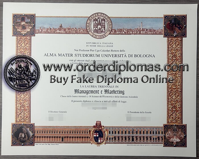 buy alma mater studiorum universita di bologna diploma