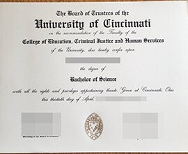 buy University of Cincinnati diploma