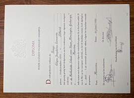 How Can I order HAVO Fake Certificate Online?