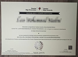 How to buy a fake Istanbul Bilgi University diploma online?