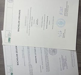 How to Order LMU München diploma and transcript?