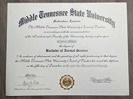Middle Tennessee State University Diploma, Buy MTSU Degree.