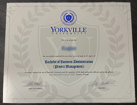 Fake Yorkville University diploma, buy fake degree online.