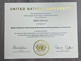 Order NUN Degree, Buy United Nations University diploma.