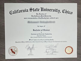 Why a Chico State Diploma Stands Out Among Employers.