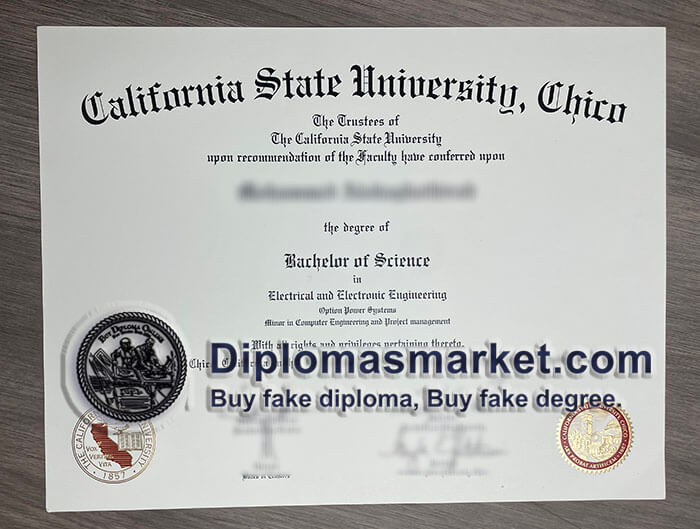 Chico State diploma sample