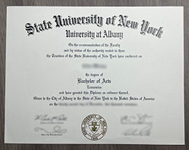 University at Albany Diploma, buy degree online.