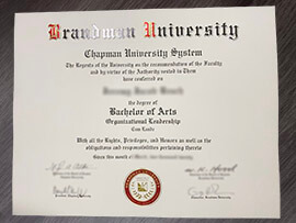 Where to Order Fake Brandman University Diploma?