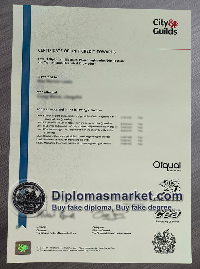 How to buy City and Guilds level 3 diploma online? buy fake certificate online.