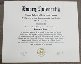 We offer Emory University Diplomas and Transcripts.