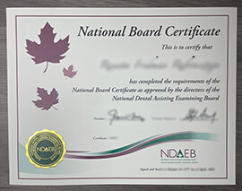 Buy NDAEB certificate, Earn NDAEB certificate without exam.