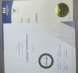 What’s The Fees For Fake Holmesglen Institute Certificate?