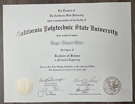 How much to get Cal Poly Diploma online?