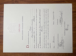 How to Apply for a Dutch Havo diploma certificate online?