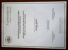 Copy Blekinge Tekniska Högskola degree, Buy fake BTH diploma