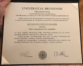 Why I choose to buy a Universitas Brunensis degree online?