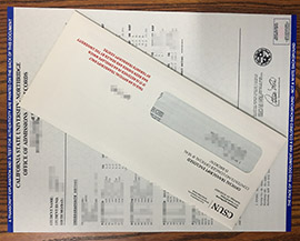 How long to make Cal State Northridge transcript online?