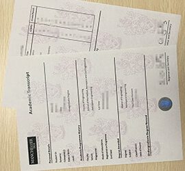How to get an University of Manchester transcript easily?