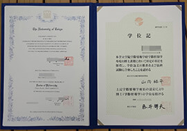 Where to get a realistic University of Tokyo degree?