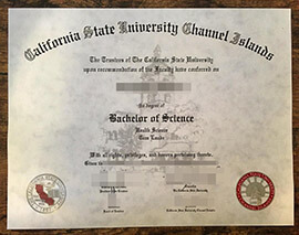 The best places to get your CSU Channel Islands degree online.
