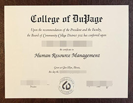 The best place to get your College of DuPage degree online.