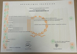 Brilliant way to Order a Université Gustave Eiffel degree online.