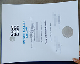 The reasons to obtain a fake Niagara College diploma online.
