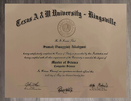 How long to make the Texas A&M University Kingsville degree?