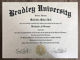 Actionable ways to get a Bradley University degree online.