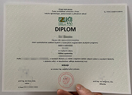 How to Order a Česká zemědělská univerzita v Praze diploma?
