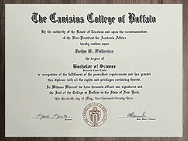 Which site is best to buy an Canisius University degree online?