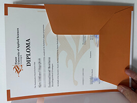 How to Get a Hanze University of Applied Sciences diploma?