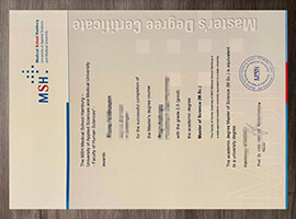 The quick way to Buy MSH Medical School Hamburg degree online
