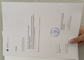 Why You Should Buy FH Münster Urkunde for Professional Growth?