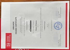 Copy a Technische Universität Braunschweig degree online.