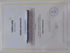 How to get a Turku University of Applied Sciences degree?